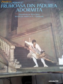 disc vinil pick-up frumoasa din padurea adormita muzica Ceaicovski foto