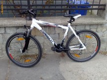 VAND MTB DINOTTI !