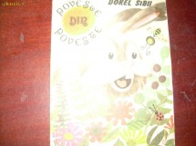 Poveste din poveste Dorel Sibii foto