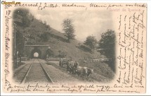 Salutari din Romania-Tunelul de la Busteni, circulata 1901 foto