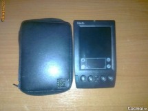 Palm IIIC foto
