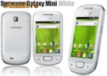 Vand / Schimb Samsung Galaxy mini white