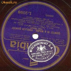 Discuri de vinil pentru gramofon - 49 de viniluri 78rpm cu muzichii clasice - Case interbelice renumite foto