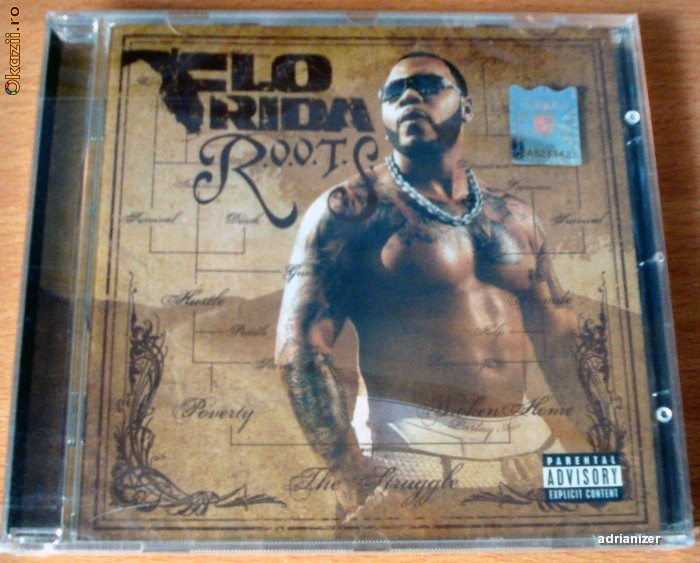 Flo Rida - Roots foto mare