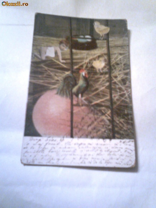 Carte Postala - "Puisori"   Circulata 24 aprilie 1905 foto mare