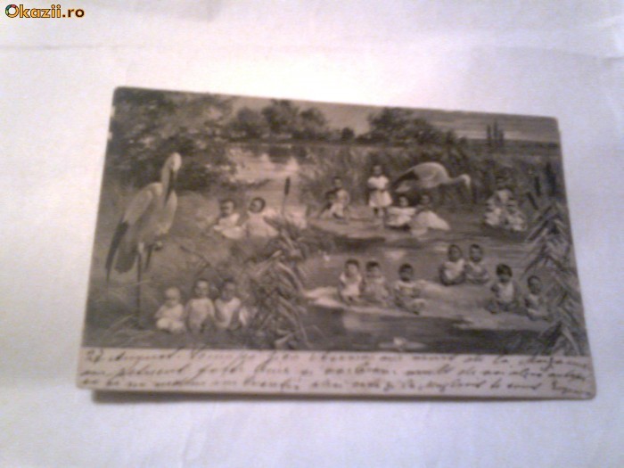 Carte postala - Copii si berze   Circulata 9 sep.1902 foto mare