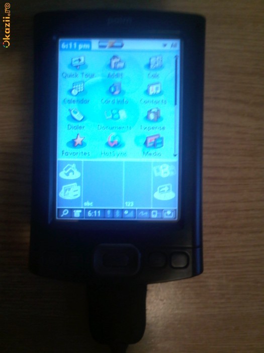 Palm TX foto mare