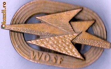 Insigna Germania WOSF foto mare