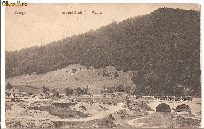 Azuga-drumul Busteni-Azuga, circulata 1911 foto mare