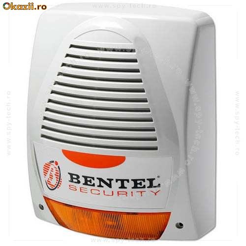 SIRENA BENTEL LADY-FPI foto mare