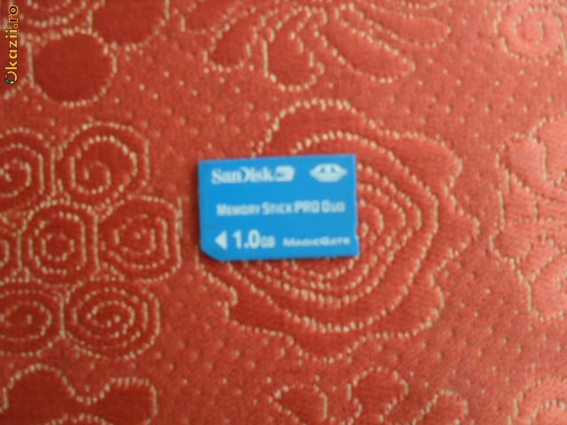 Memory Stick Pro Duo 1 Gb foto mare