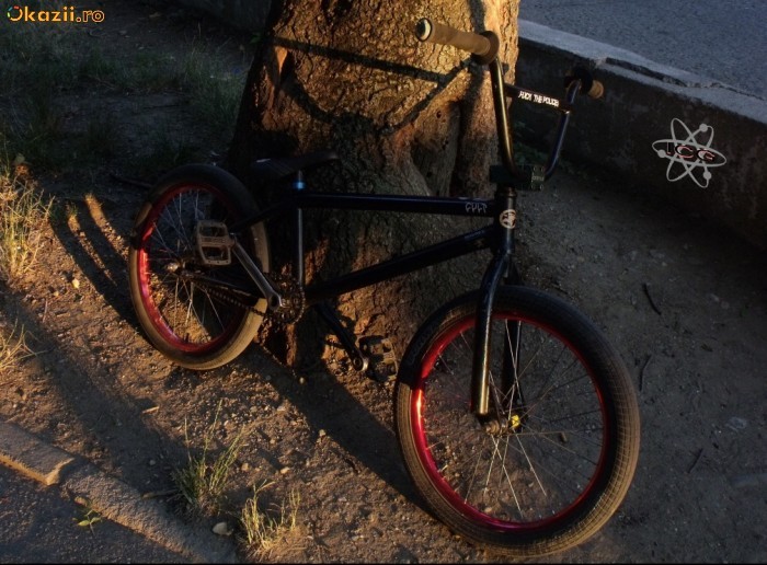 BMX Custom foto mare