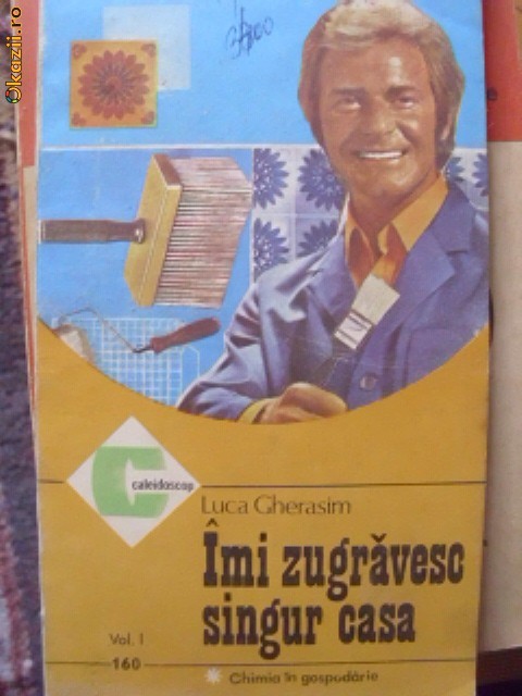 IMI ZUGRAVESC SINGUR CASA foto mare