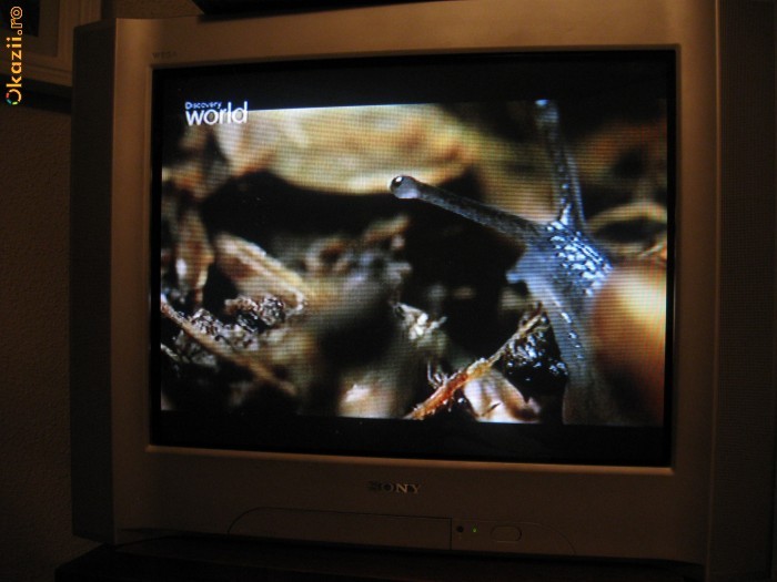 Tv color Sony WEGA (CRT) foto mare