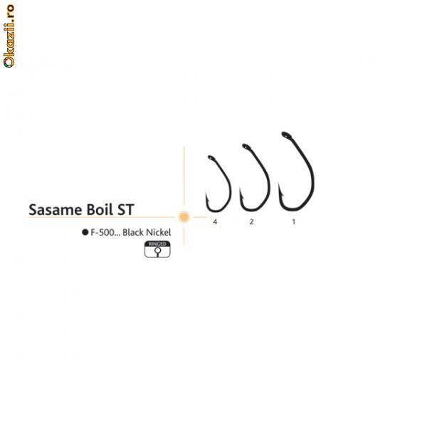 CARLIG SASAME BOIL ST foto mare