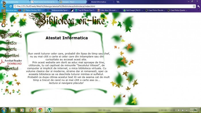 Atestat informatica foto mare