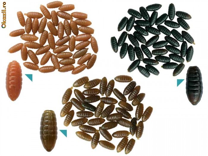 COCONI SILICON BEHR- SET 40 BUC foto mare
