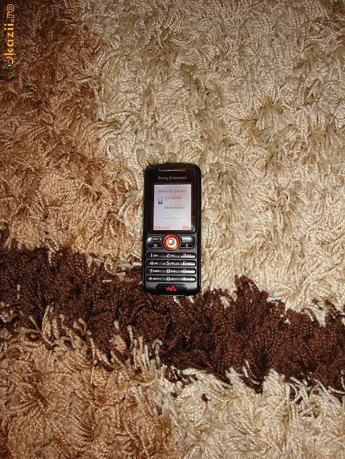 sony ericsson w200i foto mare