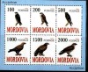 WWF PASARI VULTURI PROTEJATE  COLITA  6 TIMBRE NOI RUSIA AREA