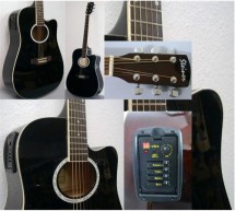 Chitara Steiner electroacustica decupaj + EQ + husa - stare impecabila foto