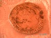 moneda
