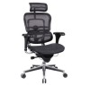 Scaun ergonomic Ergohuman | Scaun Directorial