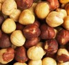 alune de padure crude 1 kg