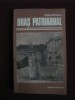 Cezar Petrescu - Oras patriarhal - 80306