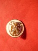 Insigna veche Fotbal - FC Arges - Pitesti